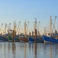 <p>Fisch- und Krabbenkutter im Norddeicher Hafen</p>
<p>&nbsp;</p>